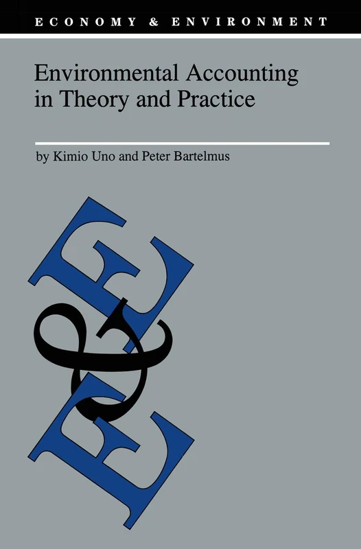 Environmental Accounting in Theory and Practice: 11 (Economy & Environment, 11)