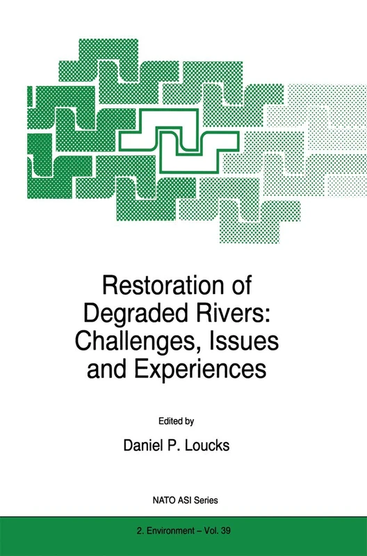 Restoration of Degraded Rivers: Challenges, Issues and Experiences: 39 (NATO Science Partnership Subseries: 2)