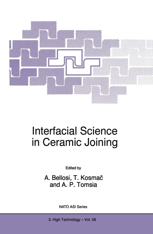Interfacial Science in Ceramic Joining: 58 (NATO Science Partnership Subseries: 3, 58)