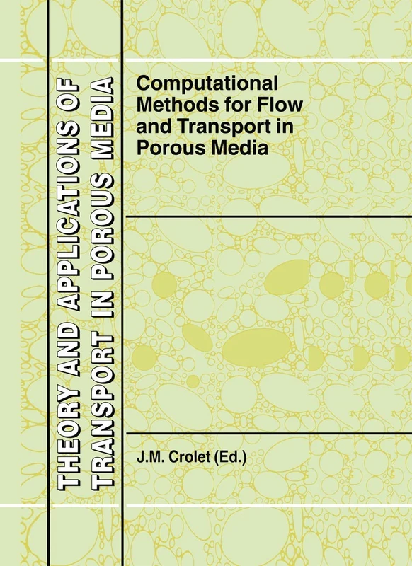 Computational Methods for Flow and Transport in Porous Media: 17 (Theory and Applications of Transport in Porous Media, 17)