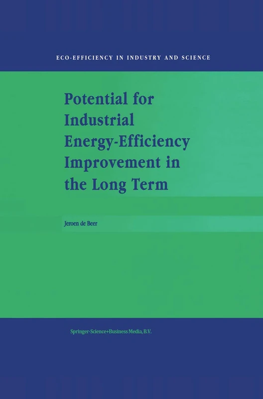 Potential for Industrial Energy-Efficiency Improvement in the Long Term: 5 (Eco-Efficiency in Industry and Science, 5)