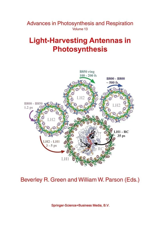 Light-Harvesting Antennas in Photosynthesis: 13 (Advances in Photosynthesis and Respiration, 13)