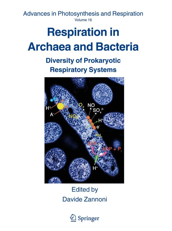 Respiration in Archaea and Bacteria: Diversity of Prokaryotic Respiratory Systems: 16 (Advances in Photosynthesis and Respiration, 16)