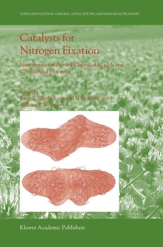 Catalysts for Nitrogen Fixation: Nitrogenases, Relevant Chemical Models and Commercial Processes: 1 (Nitrogen Fixation: Origins, Applications, and Research Progress, 1)