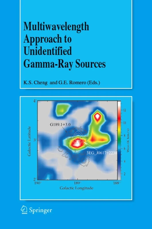 Multiwavelength Approach to Unidentified Gamma-Ray Sources: A Second Workshop on the Nature of the High-Energy Unidentified Sources