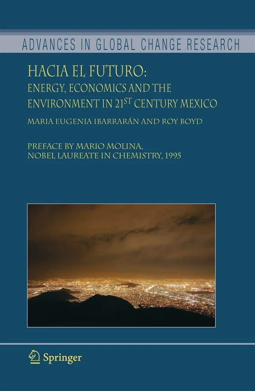 Hacia el Futuro: Energy, Economics and the Environment in 21st Century Mexico: 26 (Advances in Global Change Research, 26)