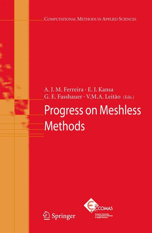Springer Progress on Meshless Methods: 11 - Computational Methods