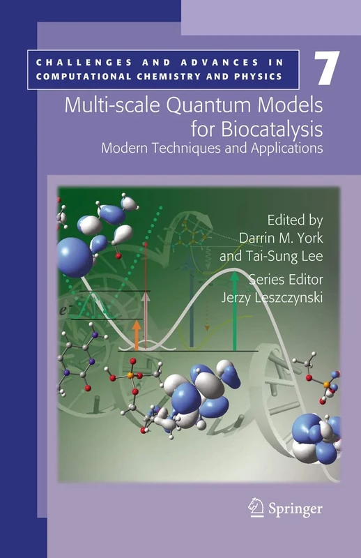 Multi-scale Quantum Models for Biocatalysis: Modern Techniques and Applications: 7 (Challenges and Advances in Computational Chemistry and Physics, 7)