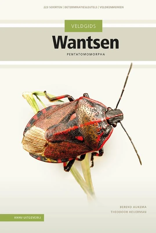 Veldgids Wantsen: pentatomomorpha