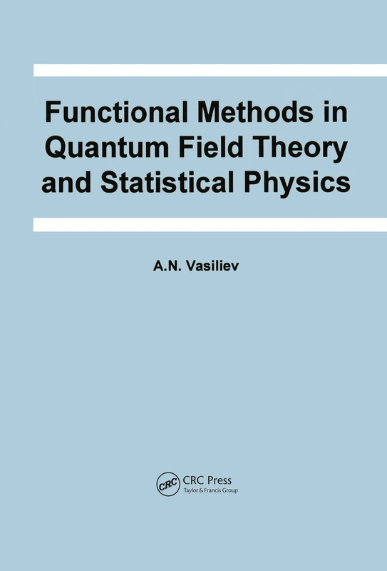 Functional Methods in Quantum Field Theory and Statistical Physics (Frontiers in Physics)