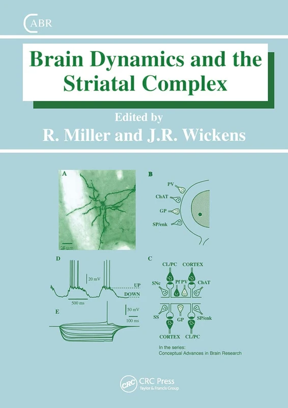 CRC Press Brain Dynamics and the Striatal Complex - Book 1