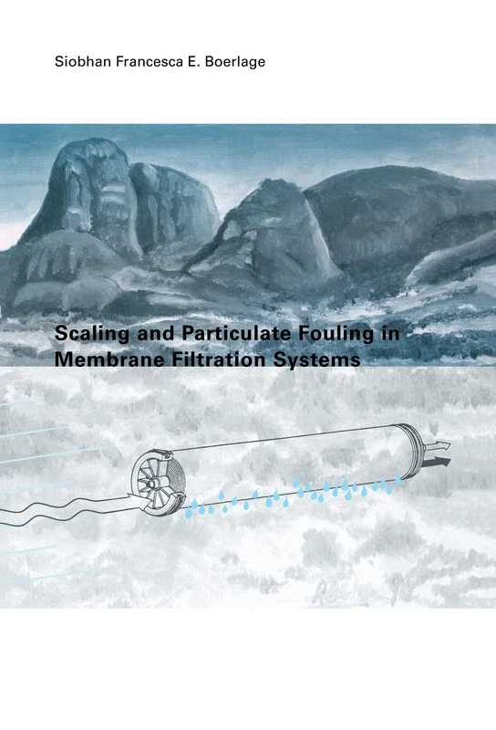 Scaling and Particulate Fouling in Membrane Filtration Systems