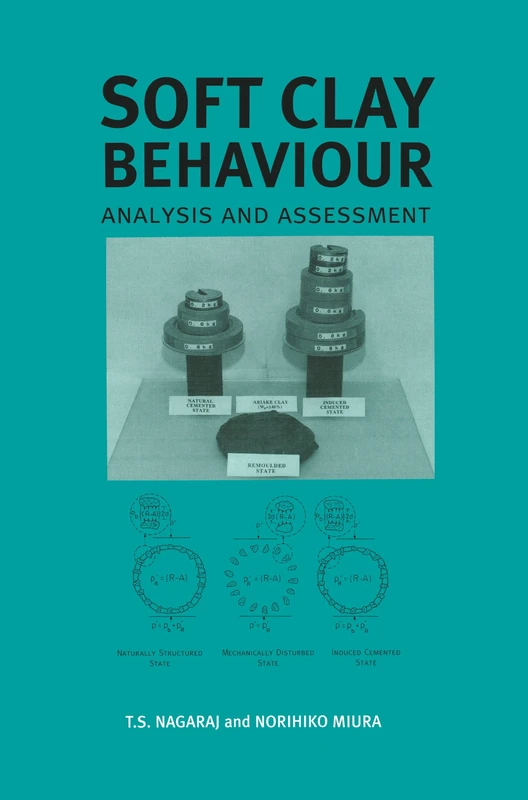 Soft Clay Behaviour Analysis and Assessment