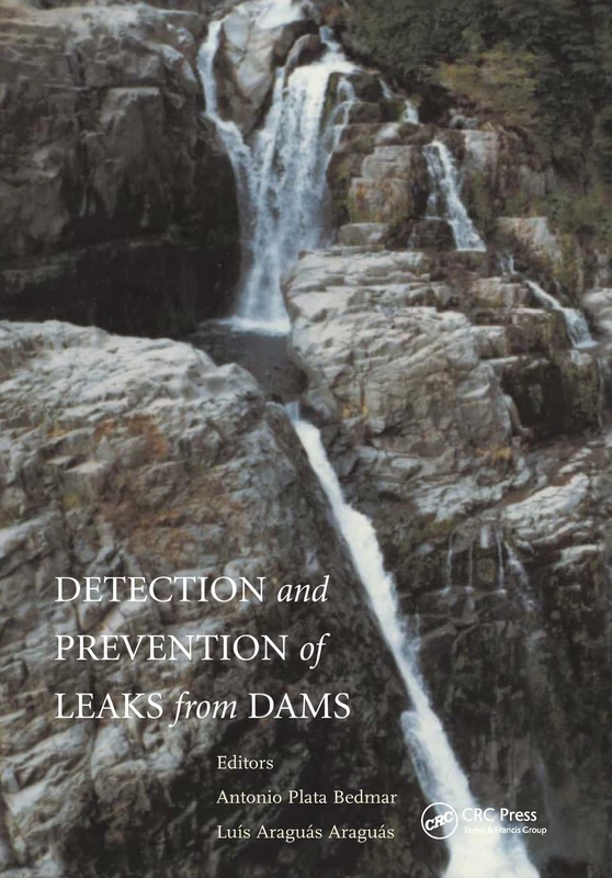 Detection and the Prevention of Leaks from Dams - Image 1