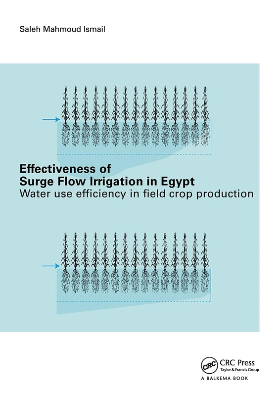 Effectiveness of Surge Flow Irrigation in Egypt: Water Use Efficiency in Field Crop Production - Image 1