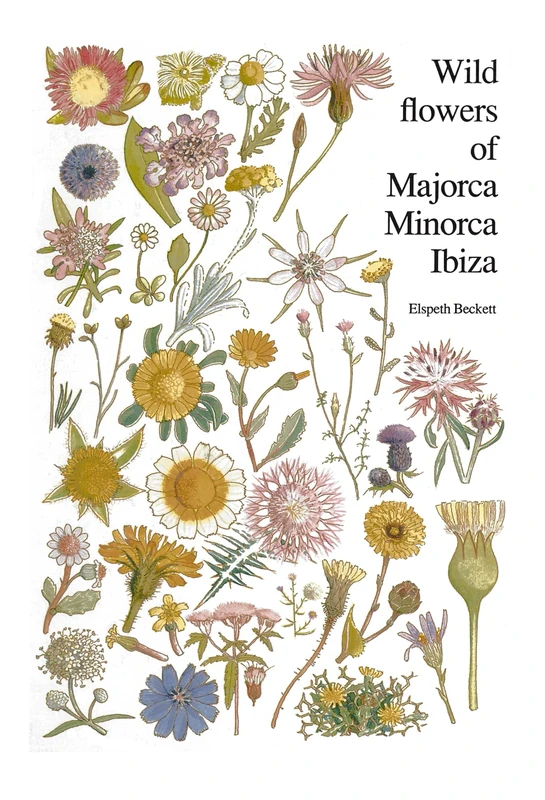 Wild flowers of Majorca Minorca and Ibiza: With keys to the flora of the Balearic Islands