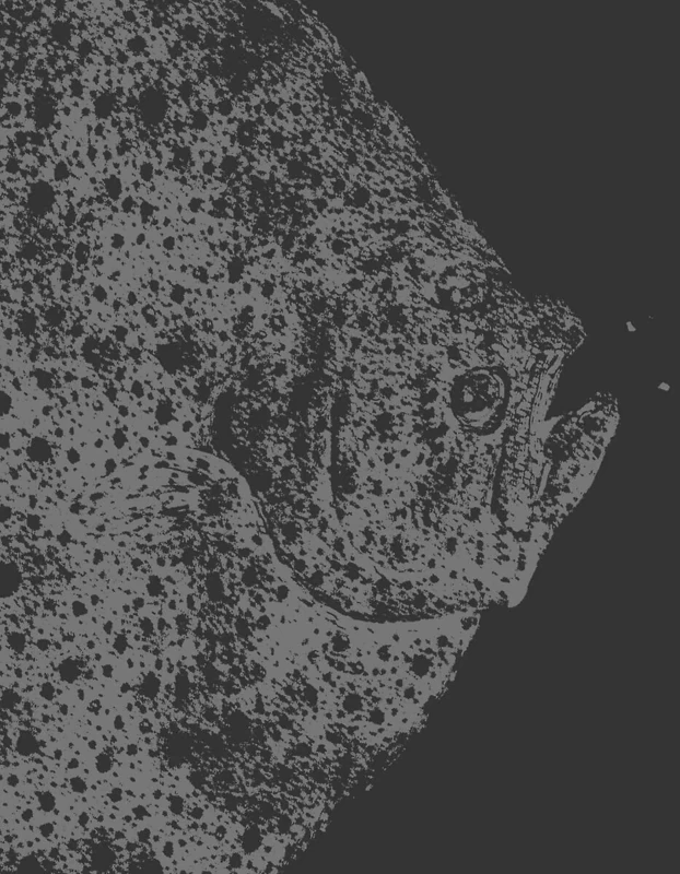 In the Deep Present: Craigie Horsfield