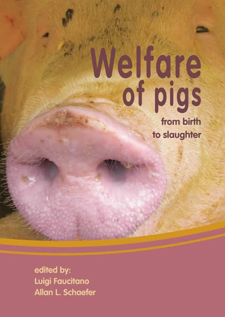 Welfare of Pigs: from birth to slaughter