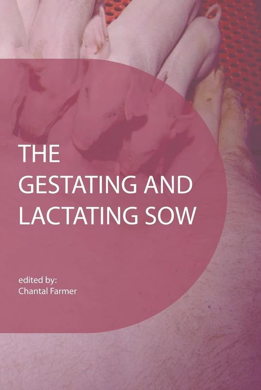 The gestating and lactating sow