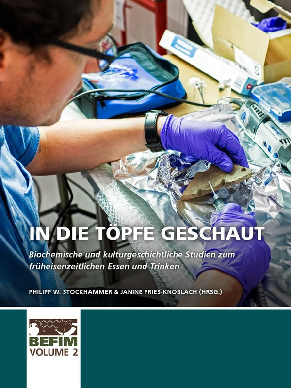 In die Töpfe geschaut: Biochemische und kulturgeschichtliche Studien zum früheisenzeitlichen Essen und Trinken: 2 (BEFIM)