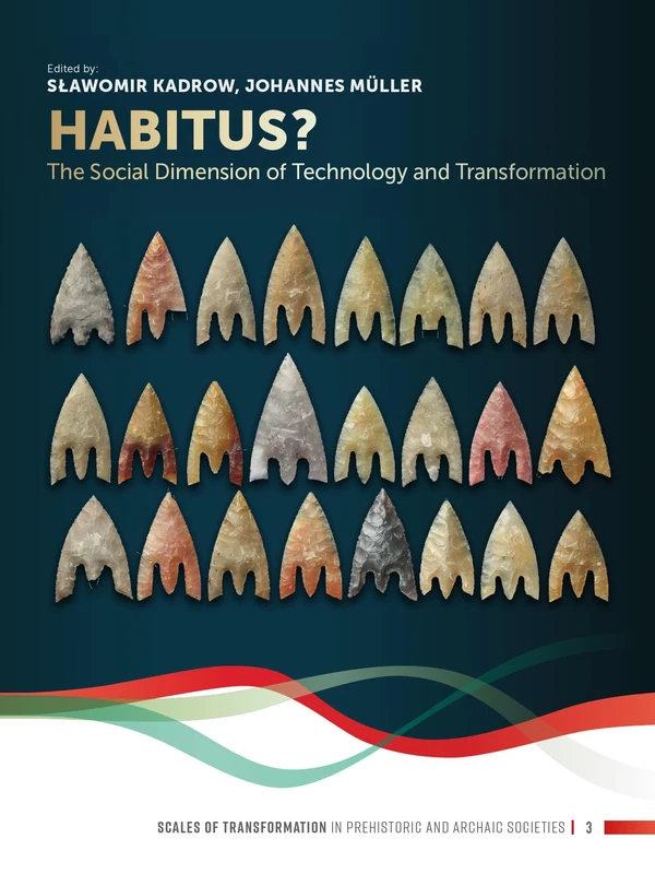 Habitus?: The Social Dimension of Technology and Transformation: 3 (Scales of Transformation)