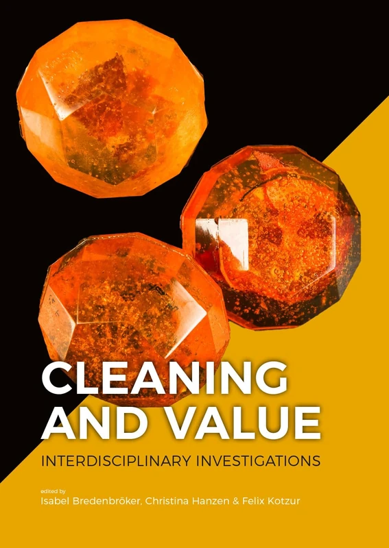 Cleaning and Value: Interdisciplinary Investigations - Image 1