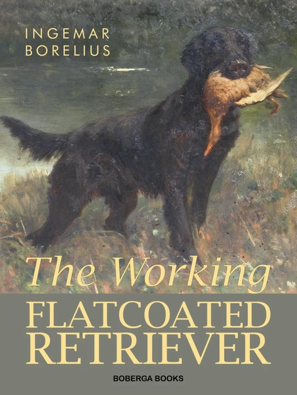 The Working Flatcoated Retriever