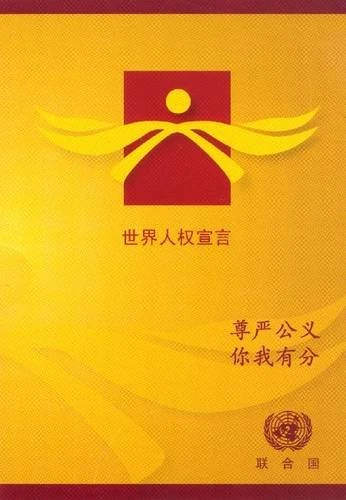 Universal Declaration of Human Rights - Booklet Set of 100 Copies - Image 1
