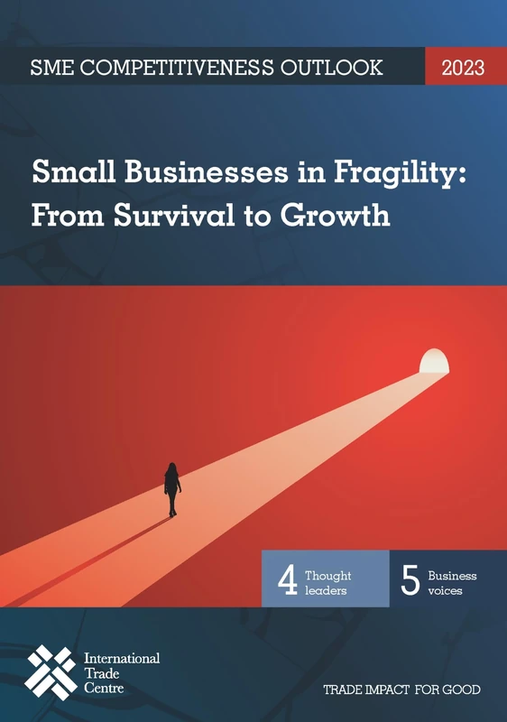 SME Competitiveness Outlook 2023: Small Businesses in Fragility: from Survival to Growth
