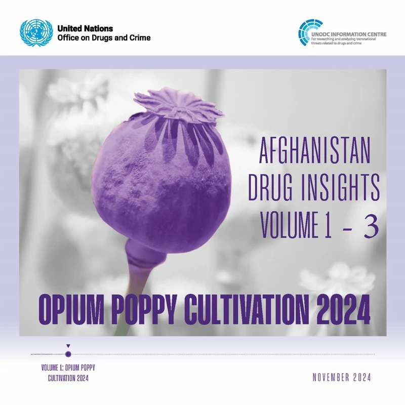 Afghanistan Drug Insights 2024