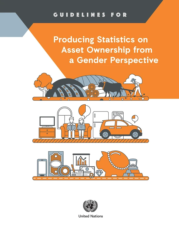Guidelines for Producing Statistics on Asset Ownership from a Gender Perspective: ending violence against children by 2030: 119 (Studies in Methods (Ser. F))