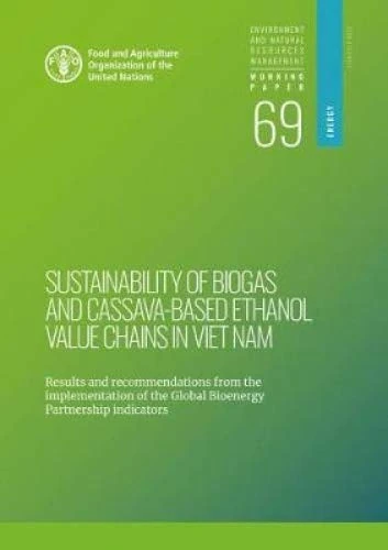 Sustainability of Biogas and Cassava-Based Ethanol Value Chains in Viet Nam: results and recommendations from the implementation of the global ... natural resources management: working paper) - Image 1