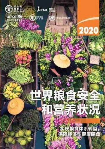 The State of Food Security and Nutrition in the World 2020 (Chinese Edition)