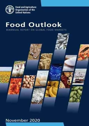 Food Outlook û Biannual Report on Global Food Markets: biannual report on global food markets, November 2020