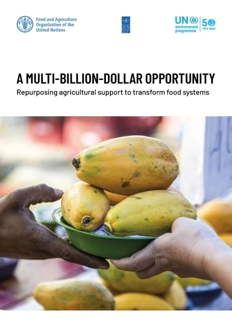 A Multi-Billion-Dollar Opportunity: re-purposing agricultural support to transform food systems