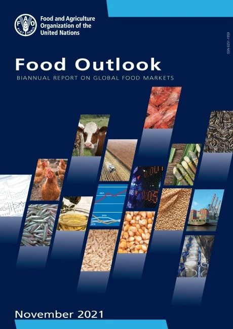 Food Outlook – Biannual Report on Global Food Markets: biannual report on global food markets, November 2021