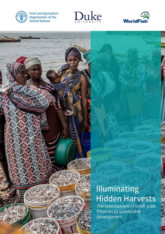 Illuminating Hidden Harvests: the contributions of small-scale fisheries to sustainable development