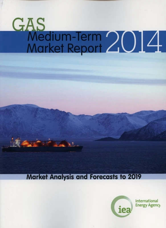 Medium-term gas market report 2014: market analysis and forecasts to 2019 - Image 1