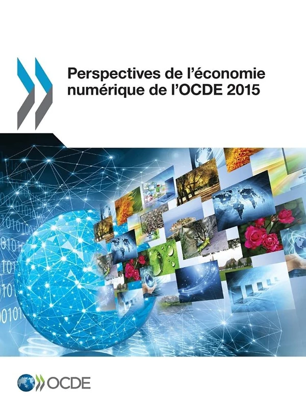 Perspectives de l'économie numérique de l'Ocde 2015: Edition 2015