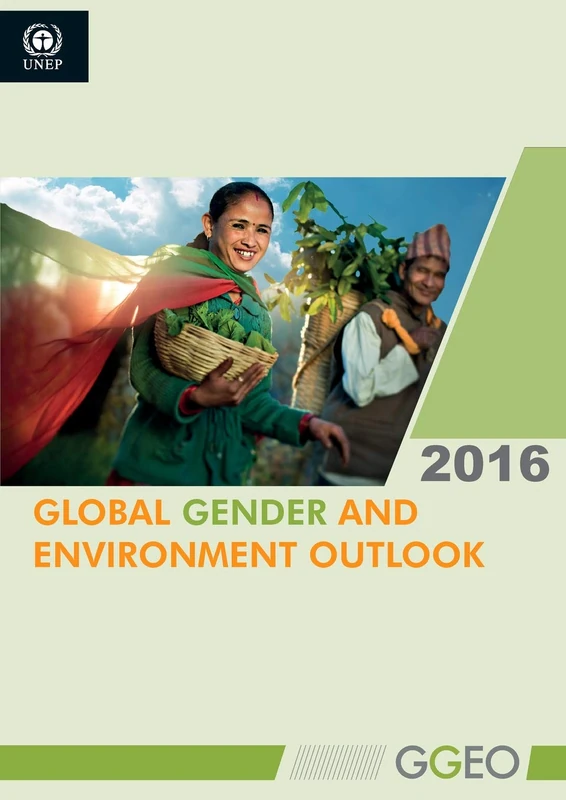 Global Gender and Environment Outlook 2016 (Cat III - All Titles) - Image 1