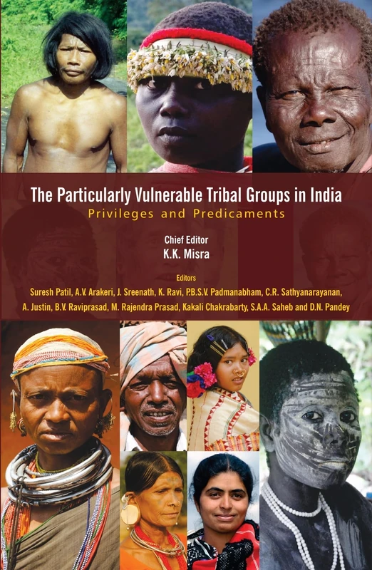The Particularly Vulnerable Tribal Groups in India: Privileges and Predicaments
