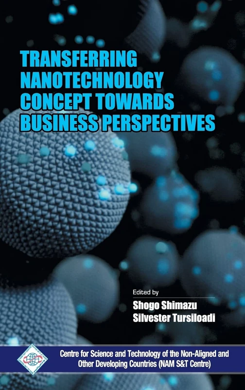 Transferring Nanotechnology Concept Towards Business Perspectives