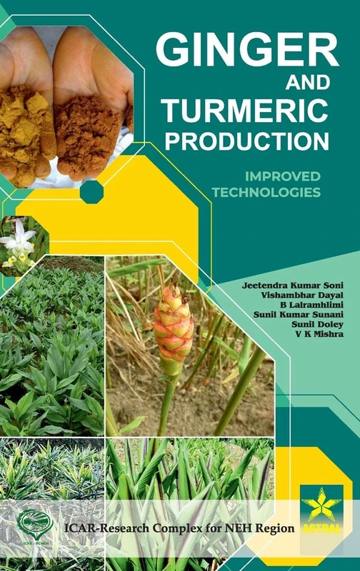 Ginger and Turmeric Production: Improved Technologies (Edition1st) - Image 1