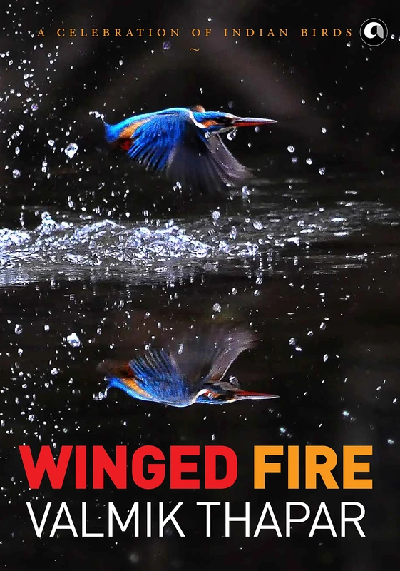 Winged Fire: A Celebration of Indian Birds, Part 3 of The Indian Wildlife Trilogy - Image 1