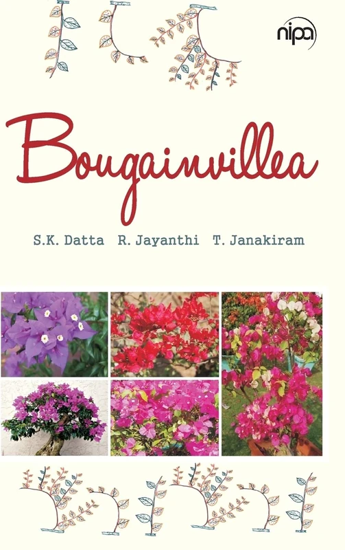 Bougainvillea