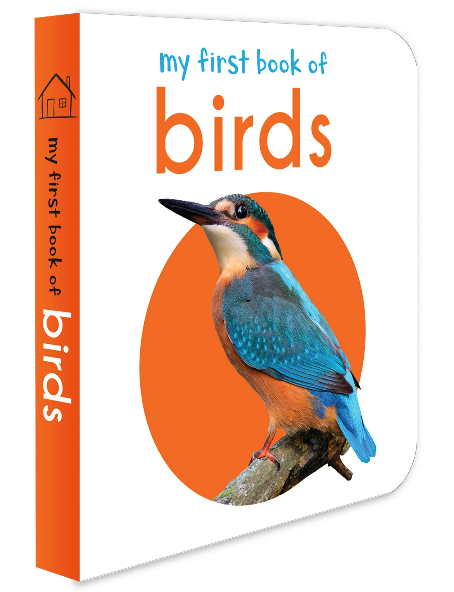 My First Book Of Birds: First Board Book