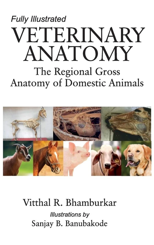 Veterinary Anatomy: The Regional Gross Anatomy of the Domestic Animals: Fully Illustrated