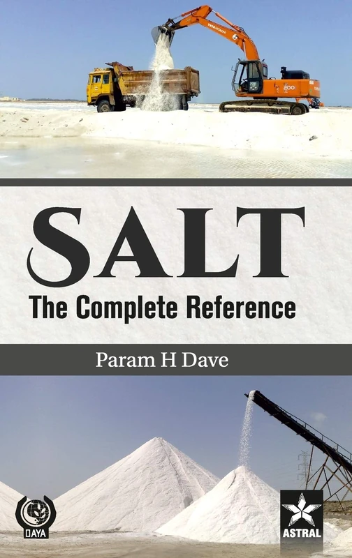 Salt: The Complete Reference - Image 1