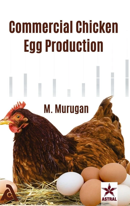 Commercial Chicken Egg Production - Image 1