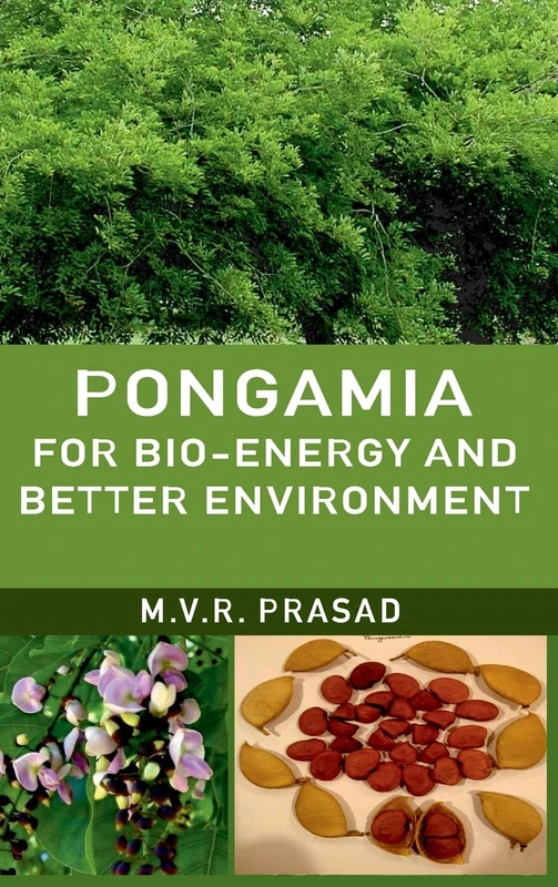 Pongamia for Bio-Energy and Better Environment - Image 1